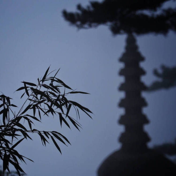 鹈堂刃卫（身份：假冒“拔刀斋”的保镖、武田观柳手下） - 短剧分集全集在线观看 - 网页看电影